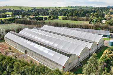 694 Mangakahia Road_3