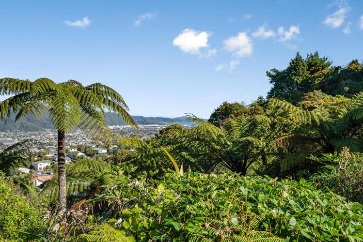 81 Park Road Belmont_3