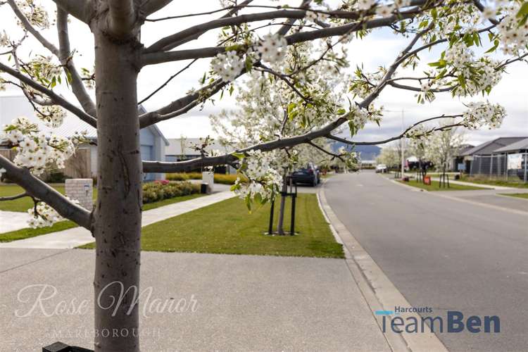 3 Arlington Close, Rose Manor Springlands_5