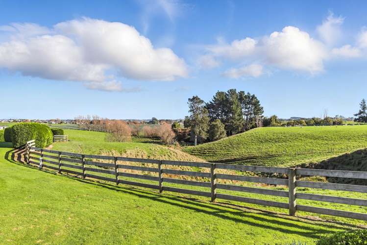 39A The Avenue Levin_20