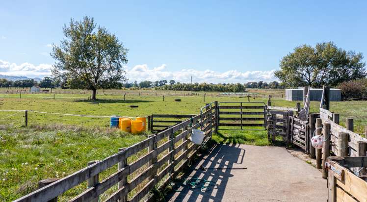 11 Hapuakohe Road Tahuna_5