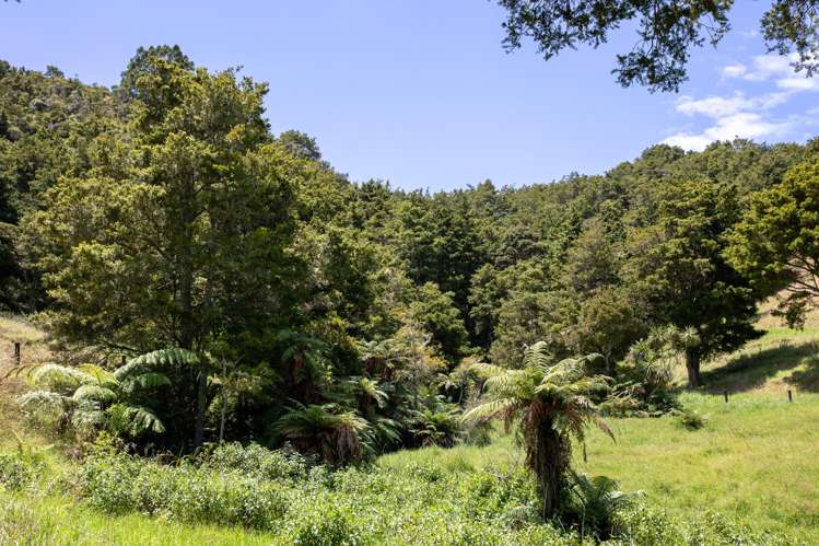 538 Hailes Road Whananaki_13