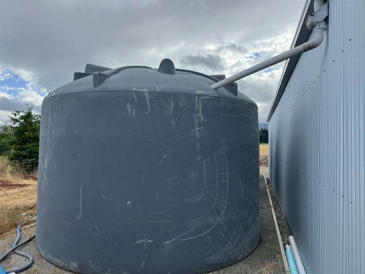 393 Kowai Road Springfield_7