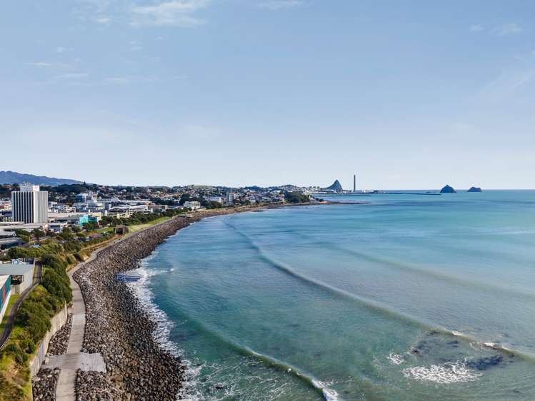 14/4 Buller Street New Plymouth Central_26