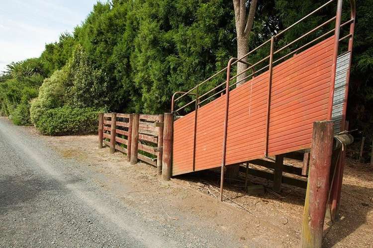 88 Windmill Road Tamahere_5