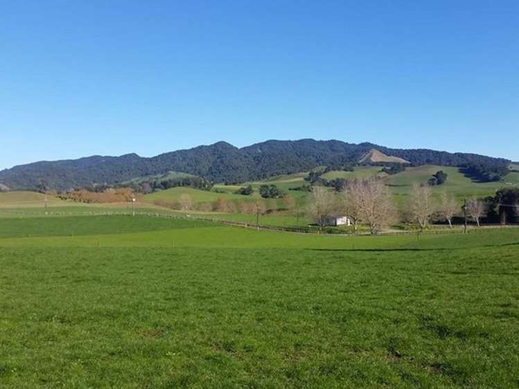 239 Roberts Road Cambridge_10