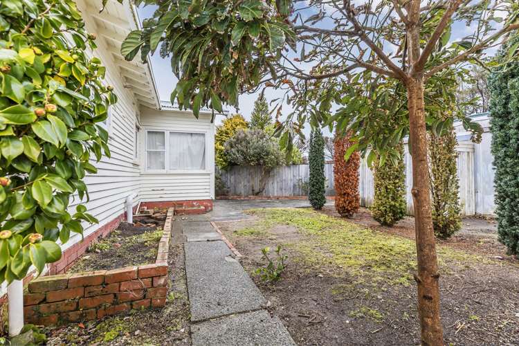 56 Devonshire Road Miramar_3