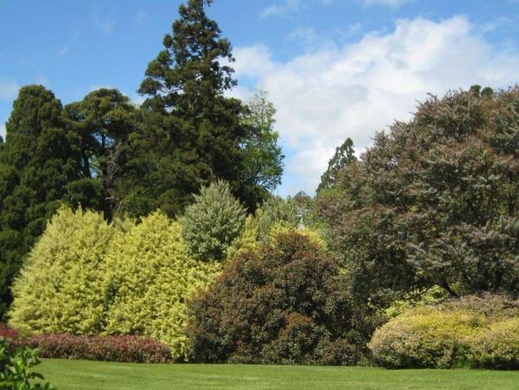 228 Smith Road Dannevirke_11