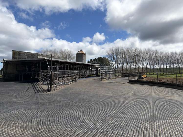 374 Rakauwahia Road Kaikohe_2