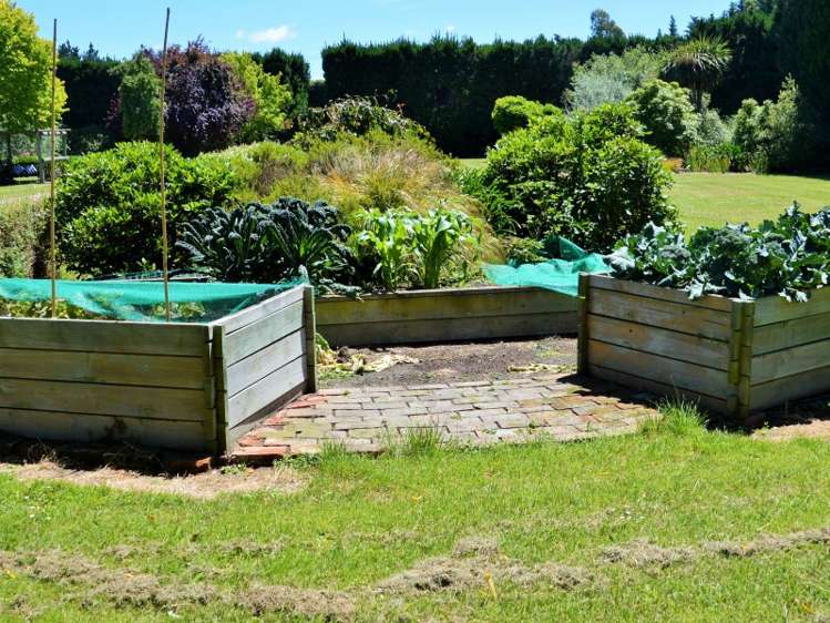 185 Lawcocks Road Amberley_14