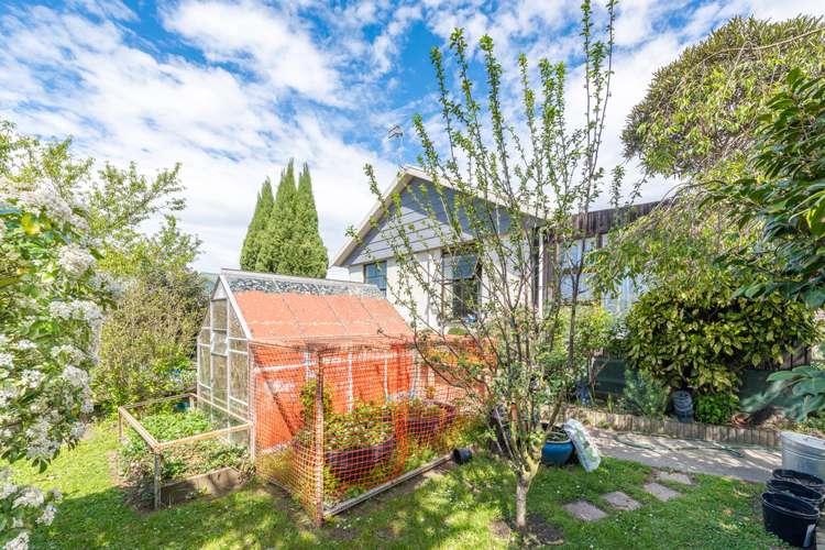 53 Warren Crescent Hillmorton_12