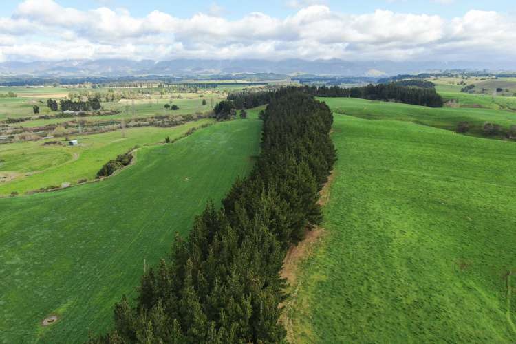 2048 State Highway 50 Ongaonga_11