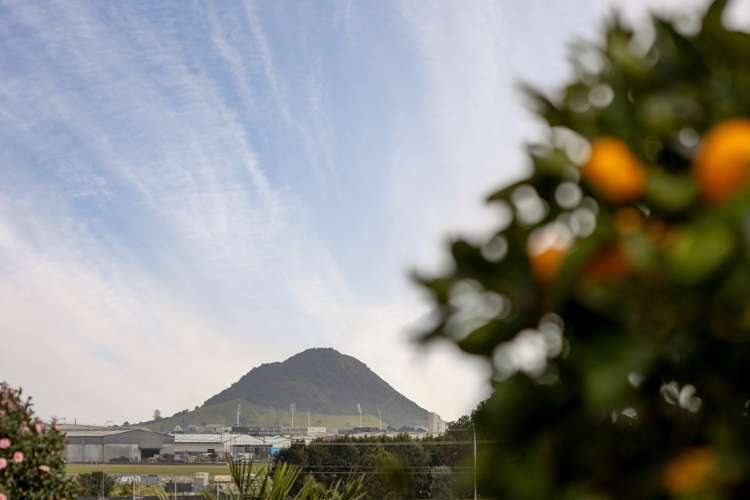 14 Claridge Place Mount Maunganui_22