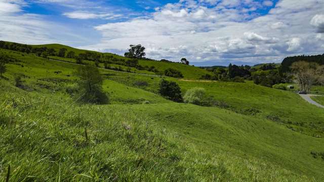 Lot 1 3315 State Highway 2 Waitakaruru_3