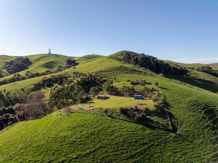 90 Tirohanga Road Rotoorangi_6