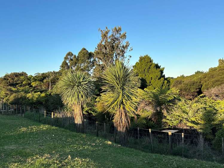 402c Awhitu Central Road Awhitu_9