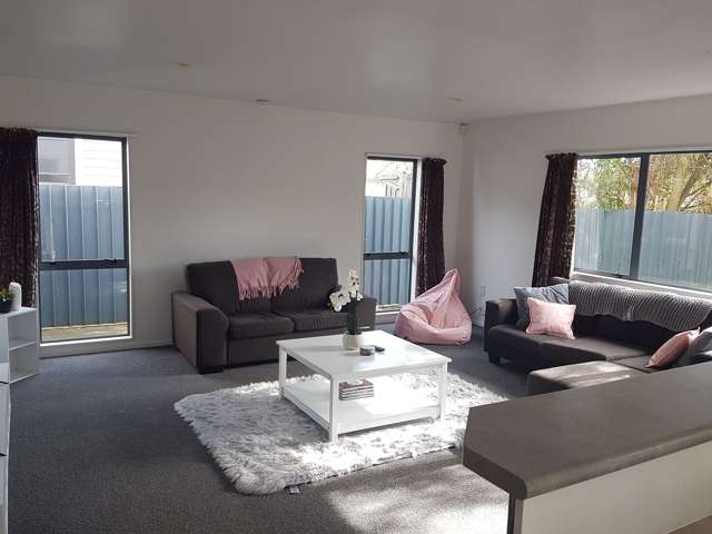 11A Boundary Road Claudelands_2