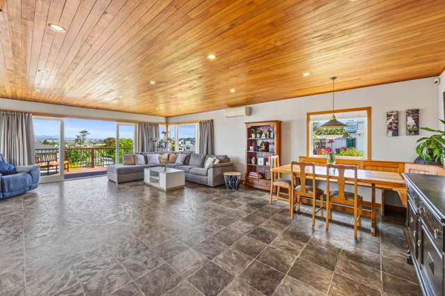 45 Roberton Road Avondale_2