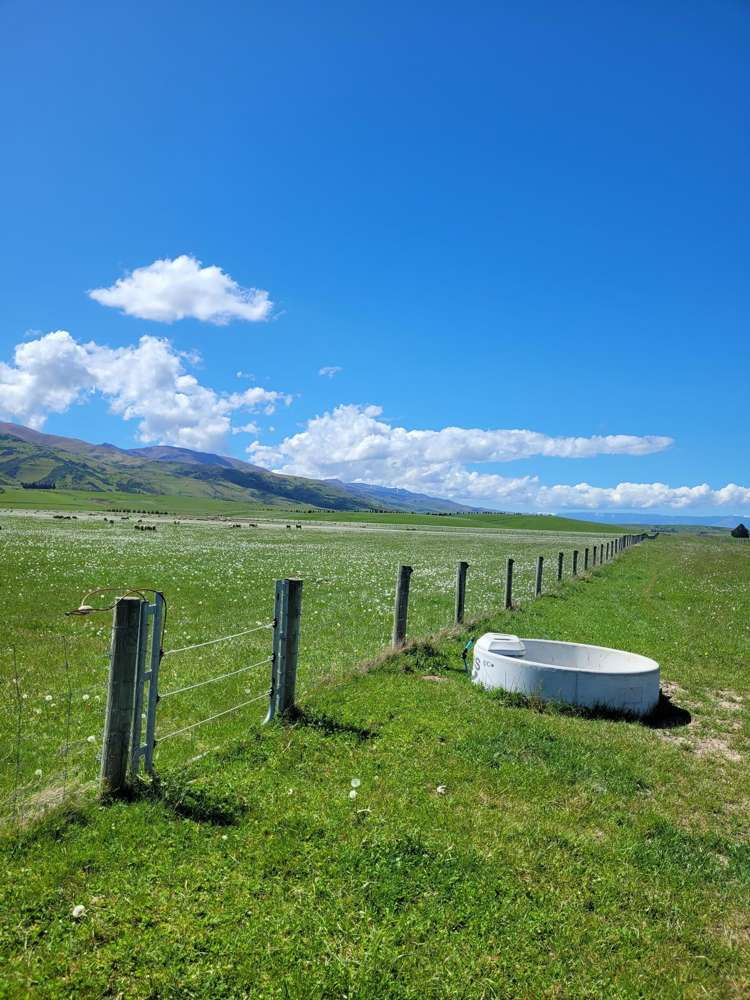 Wallington Road Omakau_11