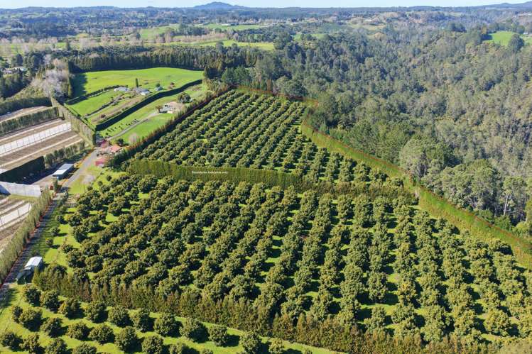 232C Williams Road North Pyes Pa_13