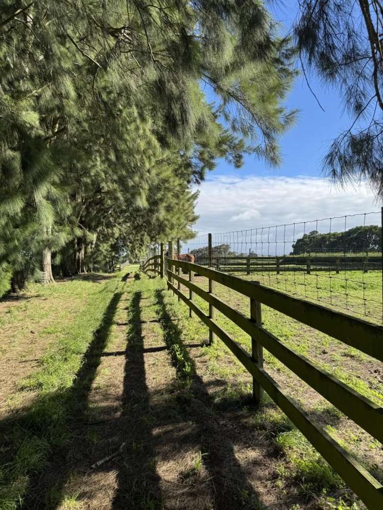 337 Kiwitahi Railway Road Morrinsville_7