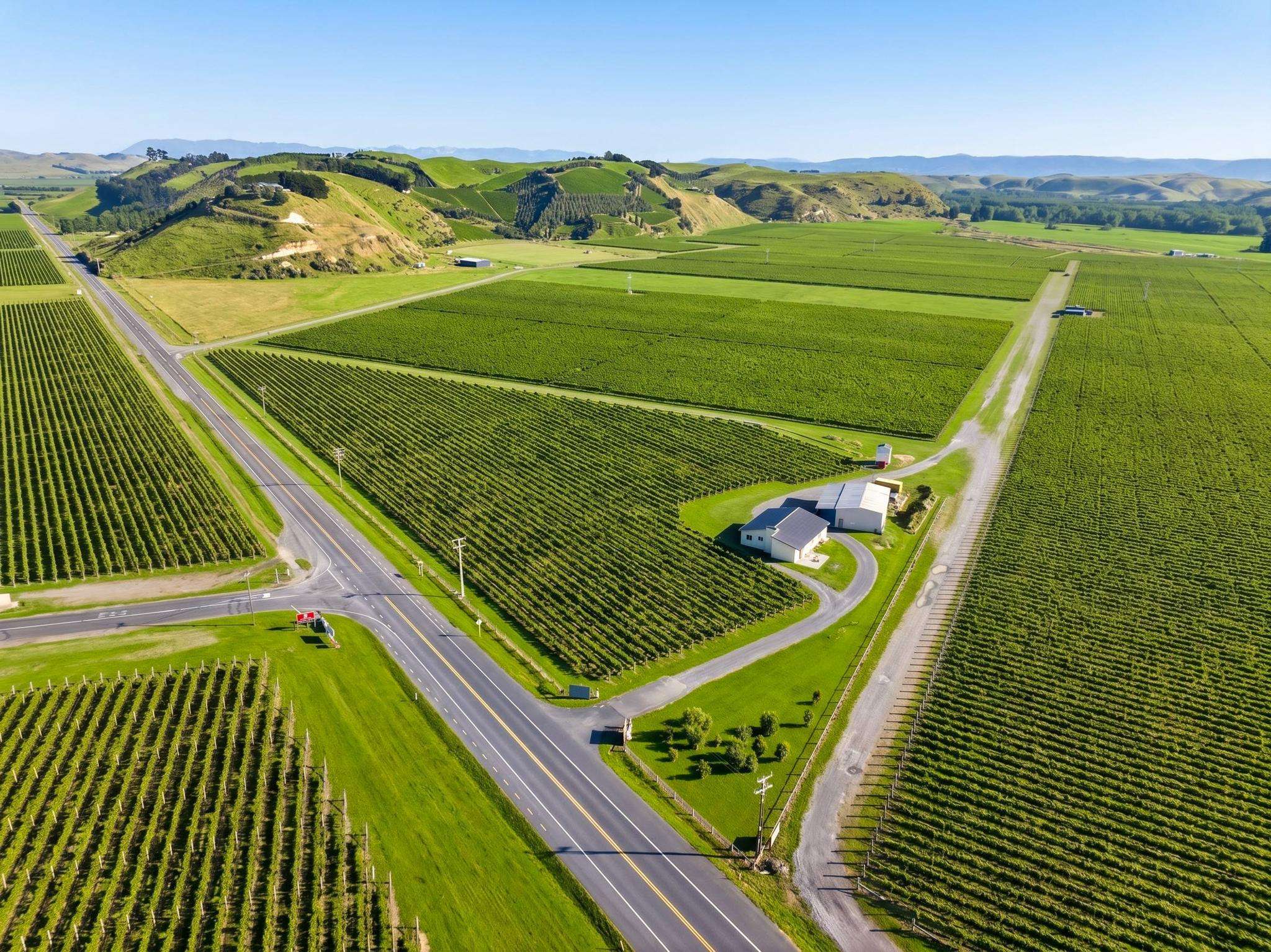 Elephant Hill, in Hawke's Bay, is one of New Zealand's leading wineries. The properties that make up the estate are on the market for sale, and can be bought separately or together. Photo / Supplied
