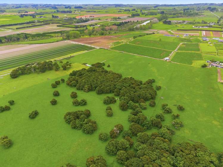 81 Muhunoa West Road Ohau_14