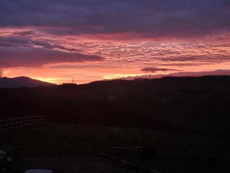 172 Kingsdale Park Drive Aokautere_7