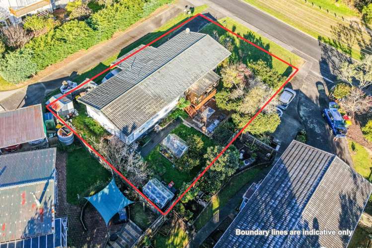 29 Domain Road Glenfield_2