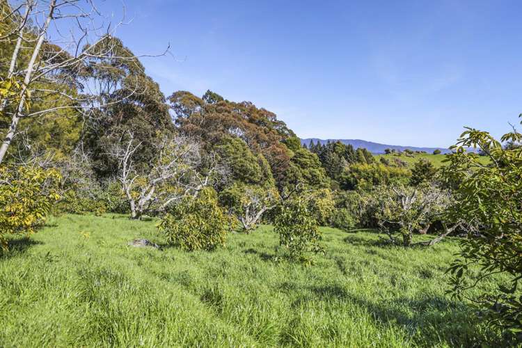 144A Rocklands Road Clifton_9
