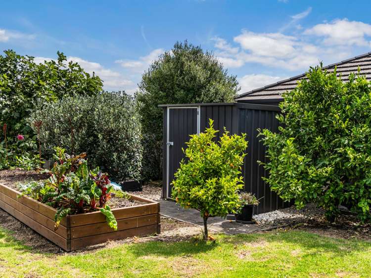 9 Artists Avenue Beachlands_20