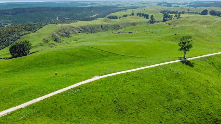 301 Matarawa Road Kinleith_26