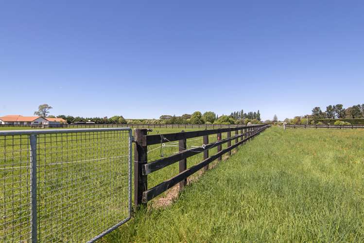 289 Johns Road Fernside_12