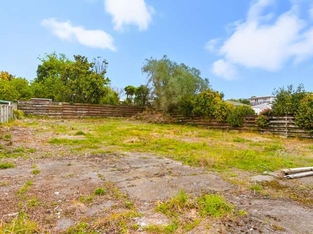 8 Montgomery Street Levin_4