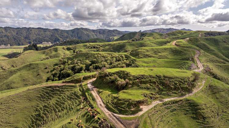 169 Addison Road Waimana_10