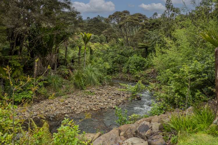 586 Tapu Coroglen Road Coromandel Forest Park_9