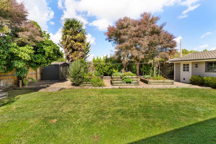 71B Hall Street Cambridge_15