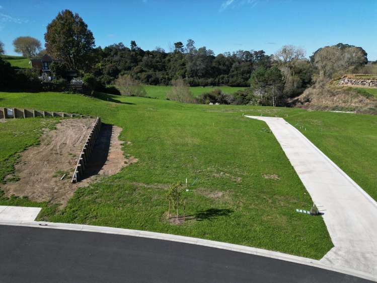 ** Ruru Downs Putaruru_14