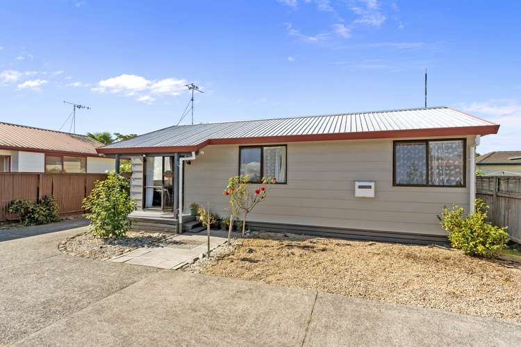 56a Grandview Road Nawton_11