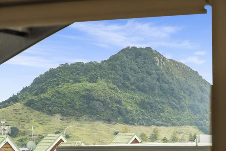 22d Miro Street Mount Maunganui_9