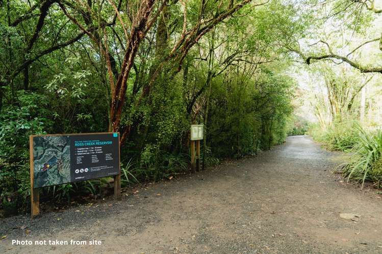 135 Shetland Street Wakari_13