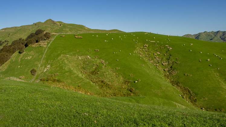 851 Clifton Grove Road Gladstone_3