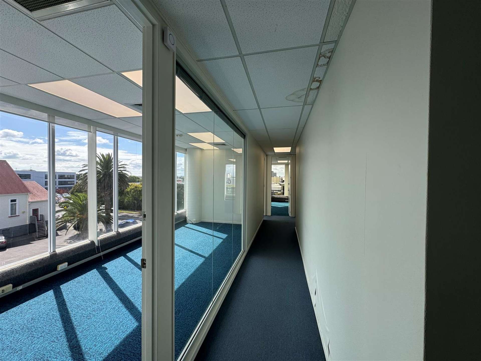 Part Level 2, 2 Kalmia Street Ellerslie_0