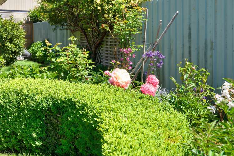 2/10 Baretta Street Somerfield_23