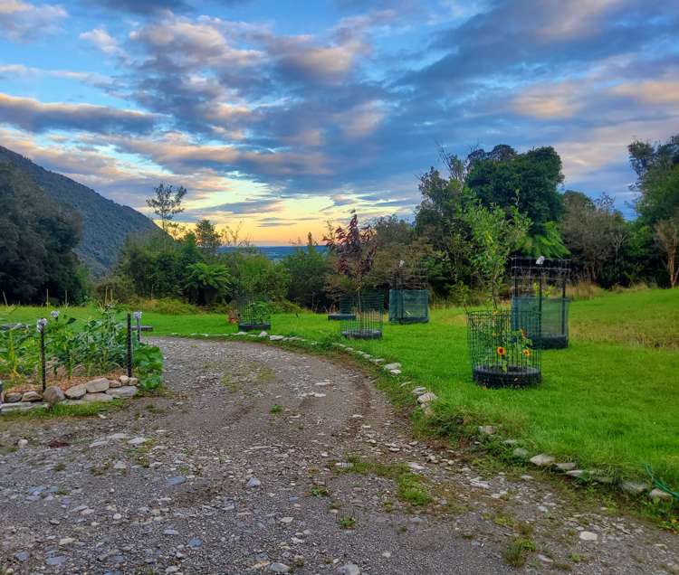 254 Doughboy Road Kokatahi_38