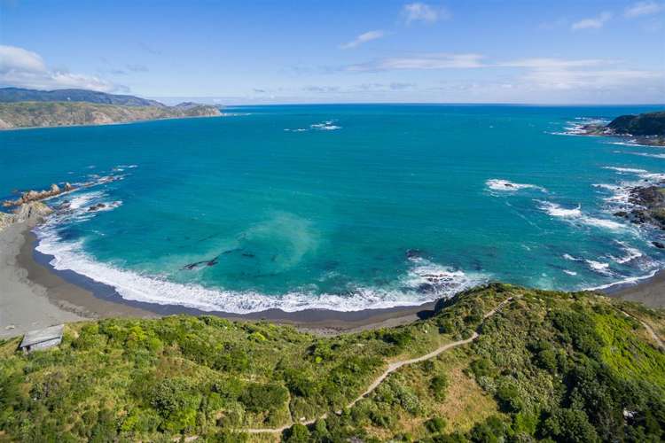 61 Mantell Street Seatoun_17