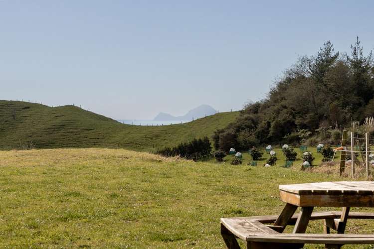 230b Withy Road Manawahe_7