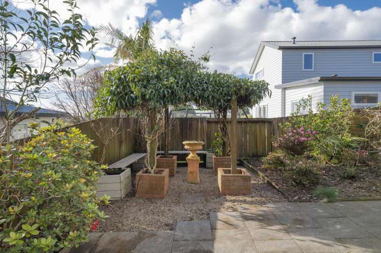 17b Hilltop Road Parkvale_13