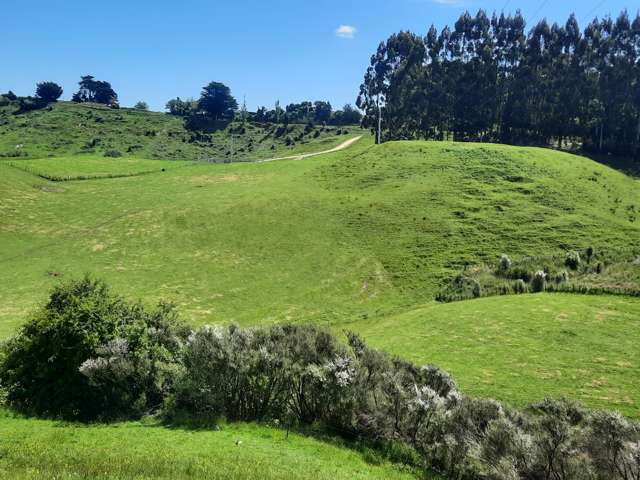 Lot 7, 560 Finnis Road Pohangina_1