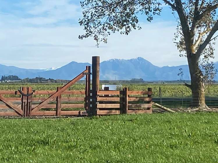280 Tinwald Westerfield Mayfield Road_1
